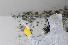 Professional Mold Removal & Remediation in Silver Lake, NC